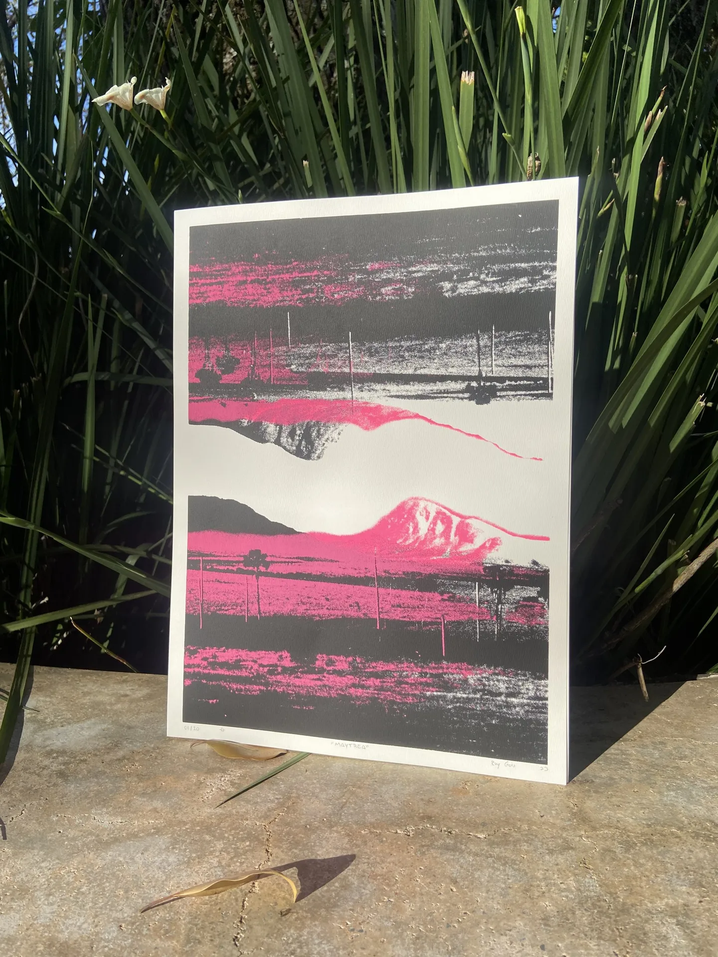 Jardim Maytrea risograph print standing in a garden
