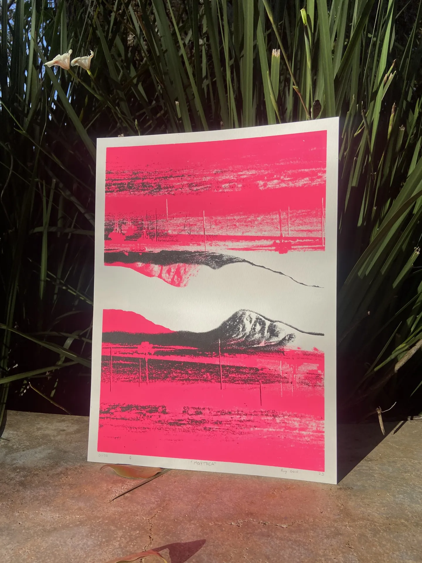 Risograph print, mostly pink, in a garden