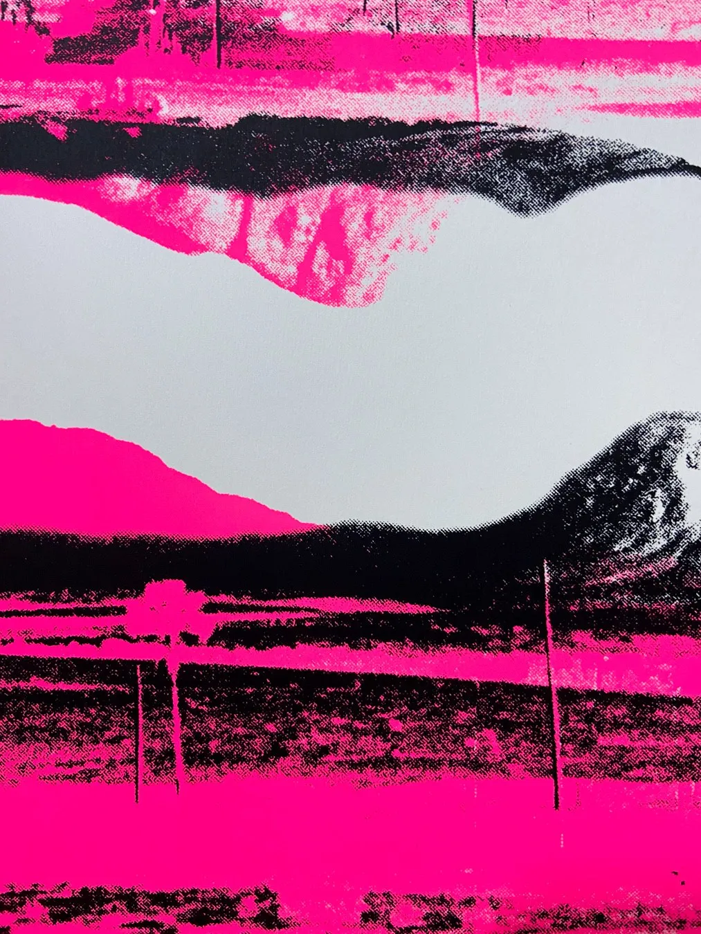 Close-up of the mirrored landscape in pink and black