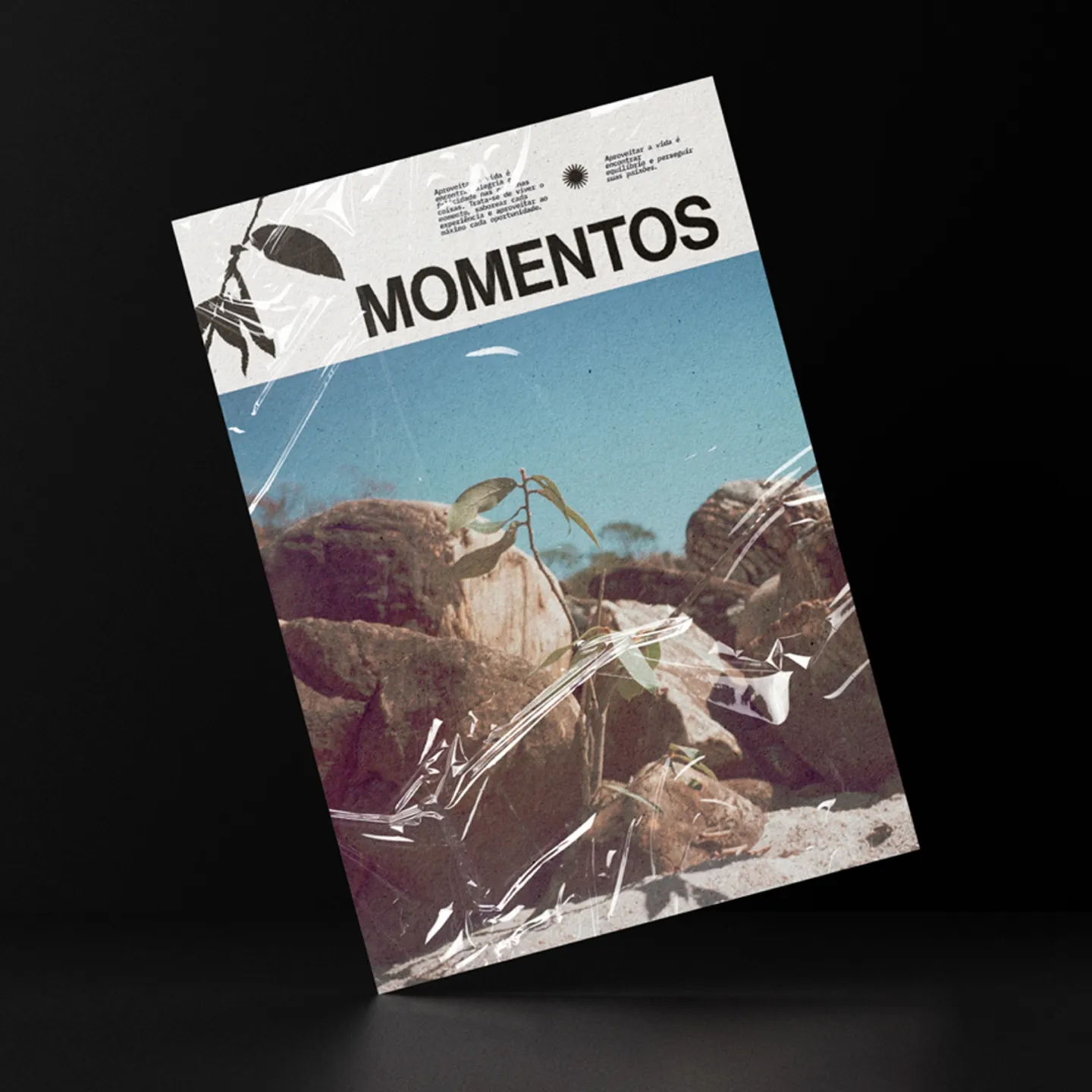 Momentos print in a plastic sleeve