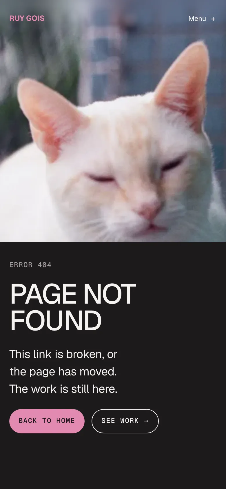 The 404 page on a phone